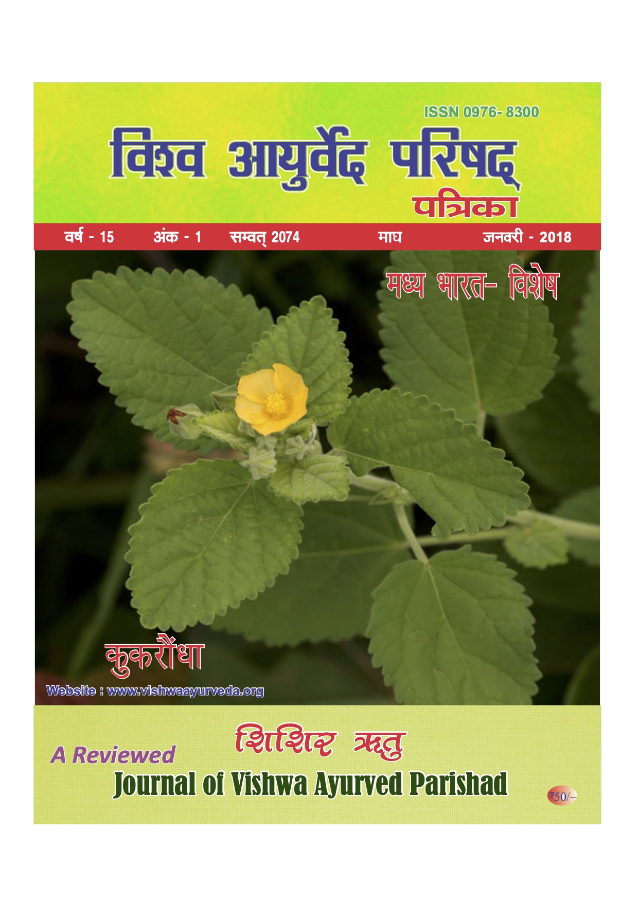vishwaayurveda